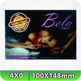 2.500 Flyers - 100x148mm Couchê - 115g - 4x0 S/ Uv